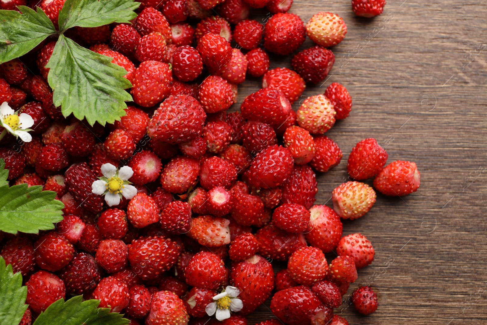 Photo of Many fresh wild strawberries, flowers and leaves on wooden table, flat lay. Space for text