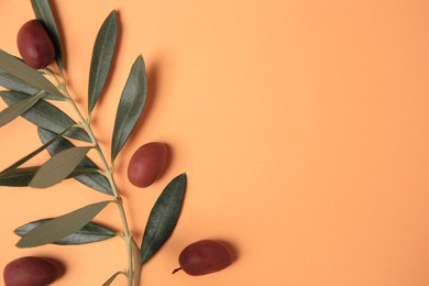 Fresh olives and green leaves on pale orange background, flat lay. Space for text
