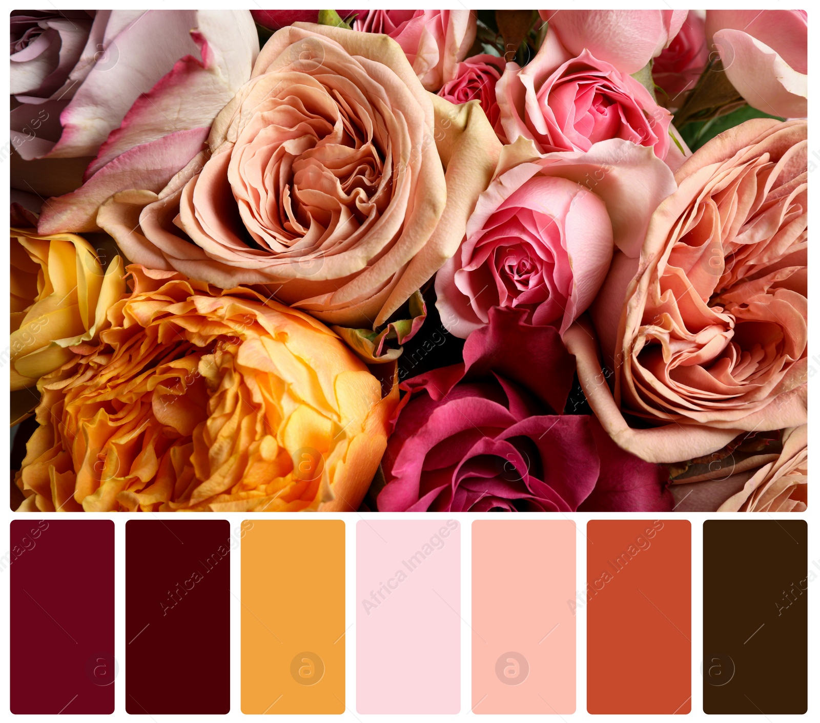 Image of Beautiful fresh flowers and color palette. Collage