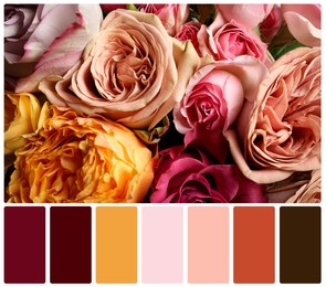 Beautiful fresh flowers and color palette. Collage