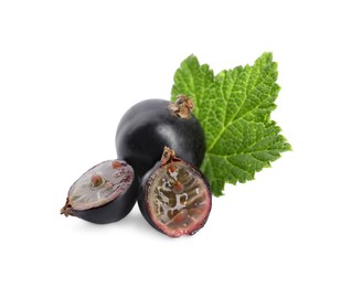 Ripe whole and cut blackcurrants with leaf isolated on white