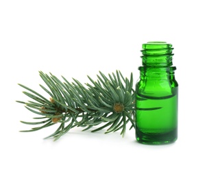 Photo of Little open bottle with essential oil and pine branch on white background