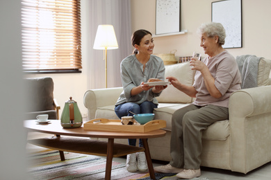 Photo of Young woman serving dinner for elderly woman in living room. Senior people care