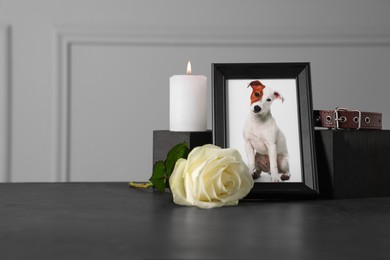 Photo of Frame with picture of dog, collar, burning candle and rose on black table, space for text. Pet funeral