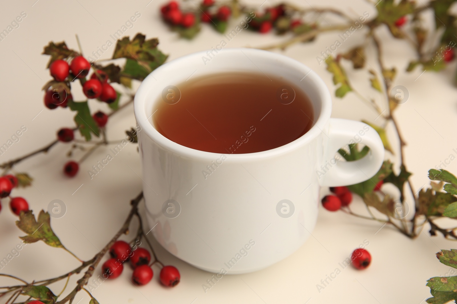 Photo of Aromatic hawthorn tea in cup and branch with berries on beige table, closeup