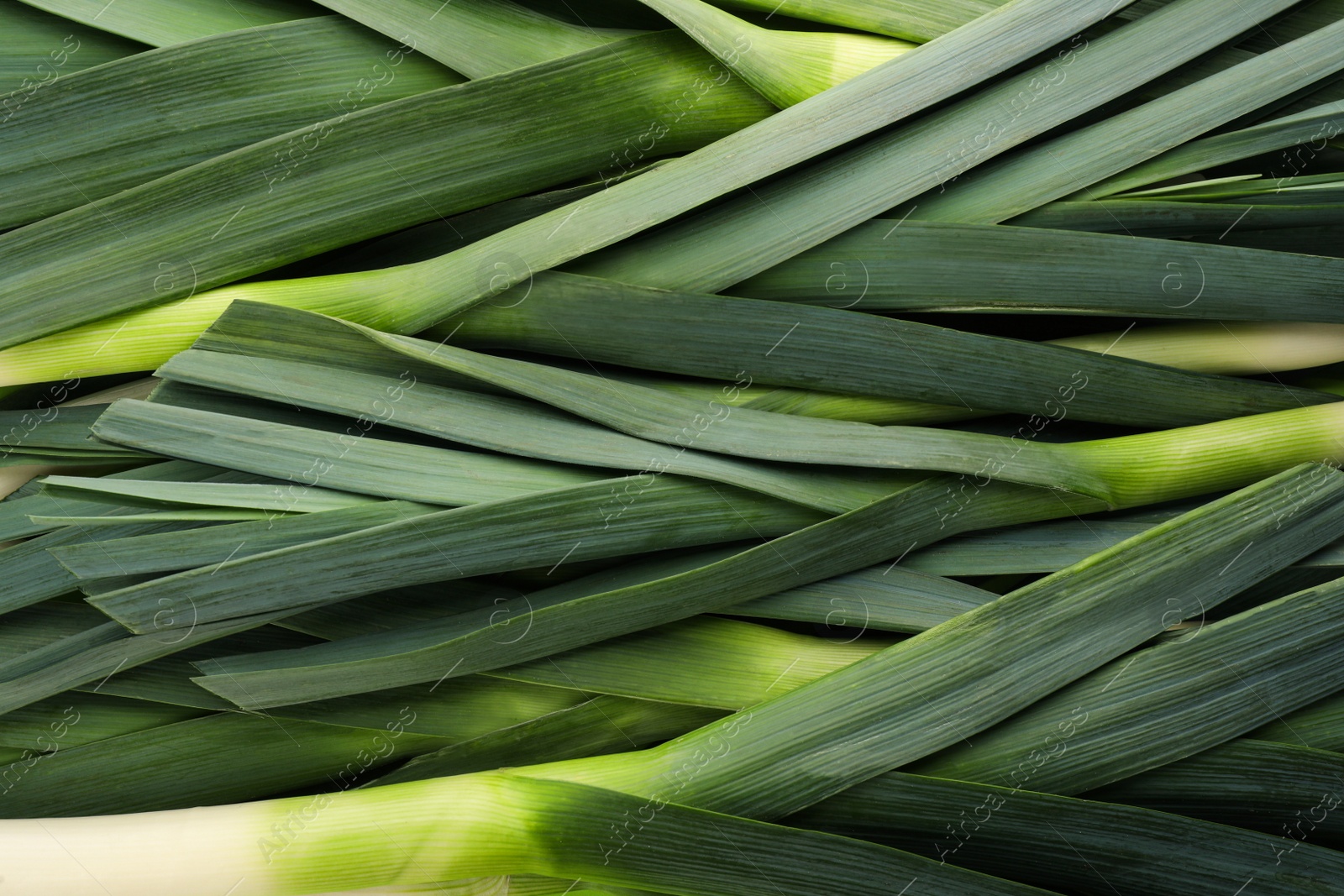 Photo of Fresh raw leeks as background, top view