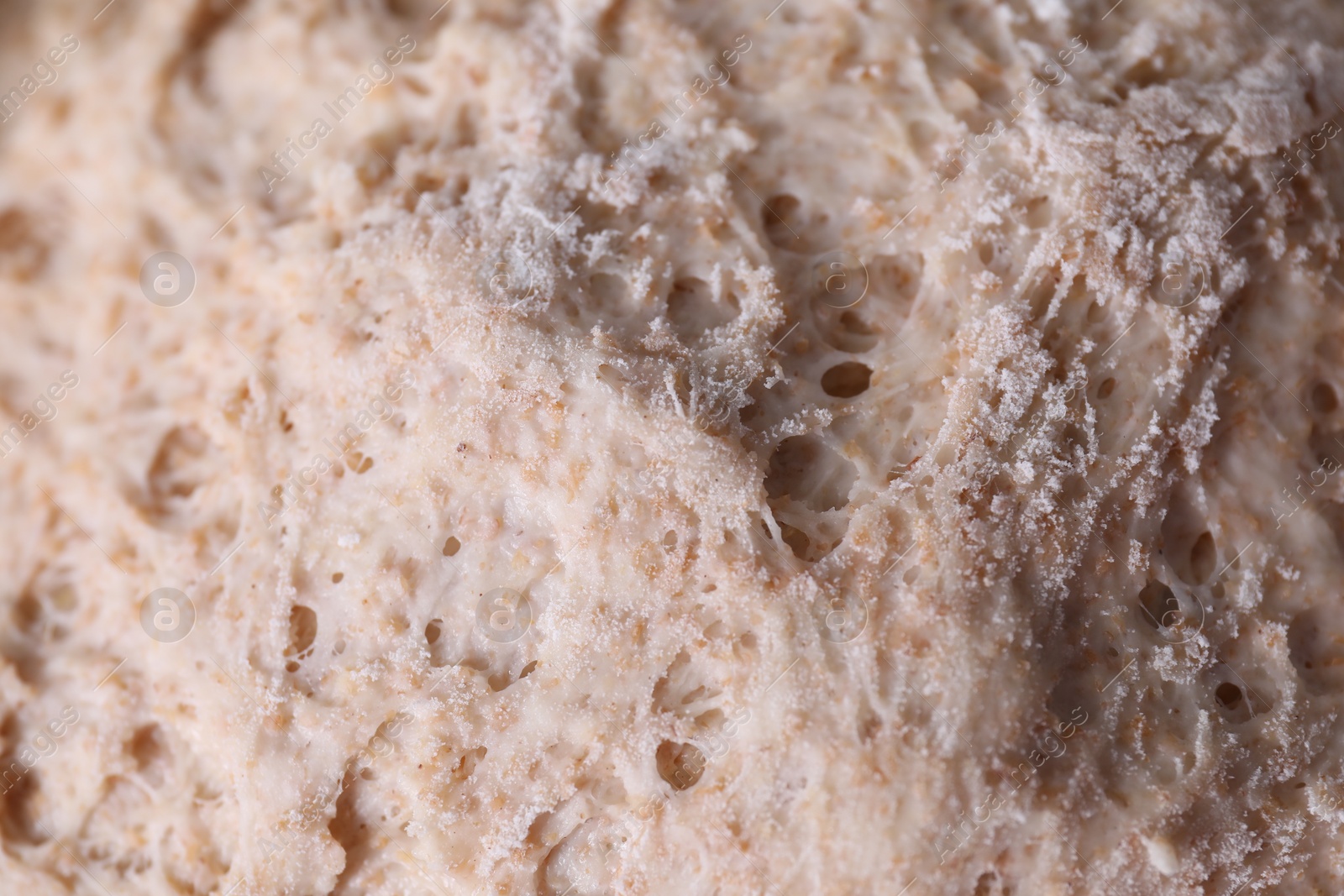 Photo of Closeup view of fresh sourdough as background