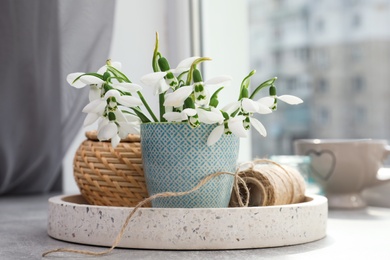 Beautiful snowdrops in vase and decor on light grey table near window