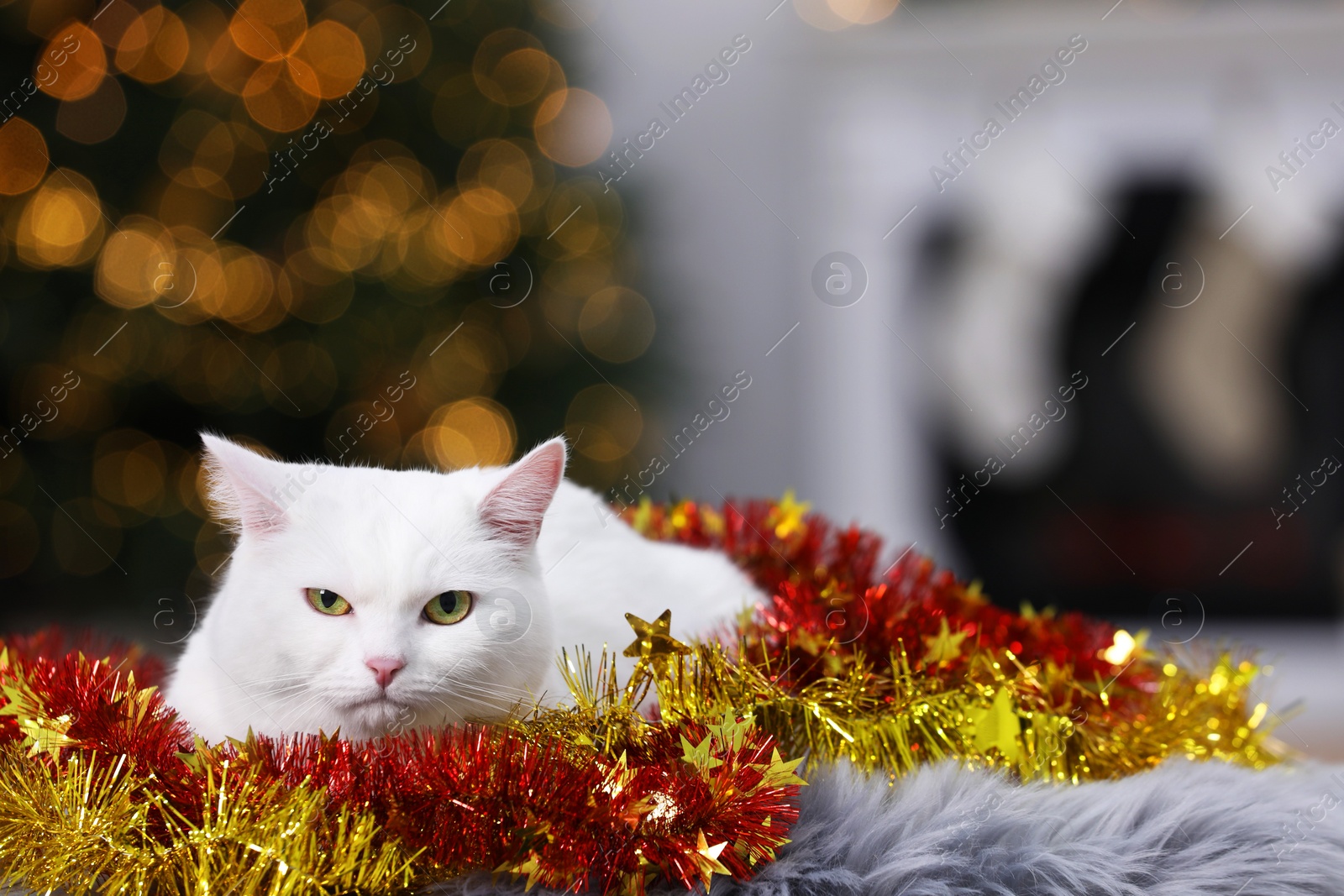 Photo of Cute cat with Christmas tinsel lying on fur rug in cosy room. Space for text