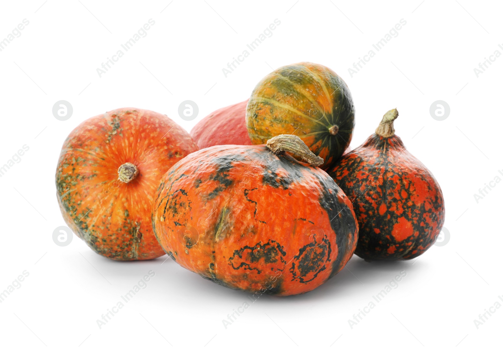 Photo of Fresh raw pumpkins isolated on white. Organic plant