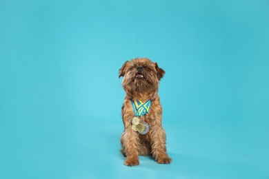 Photo of Cute Brussels Griffon dog with champion medals on light blue background