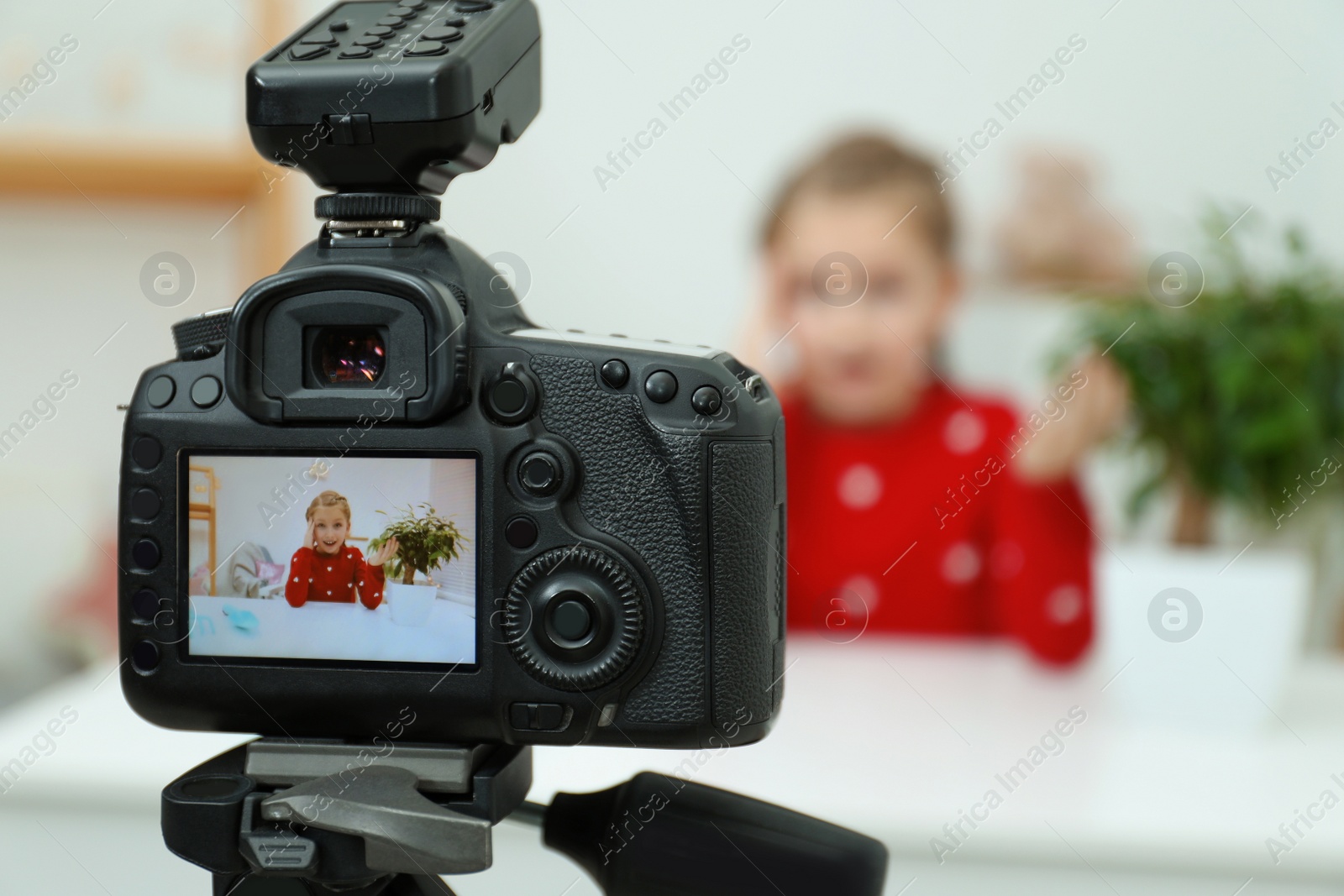 Photo of Cute little blogger with plant recording video at home, focus on camera
