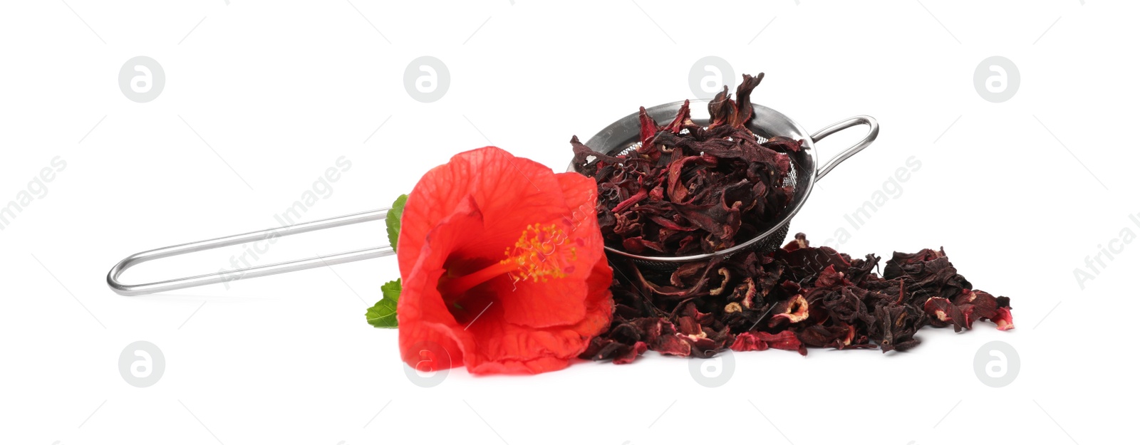 Photo of Dry hibiscus tea and beautiful flower on white background