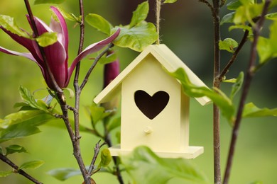 Yellow bird house on blooming magnolia tree outdoors