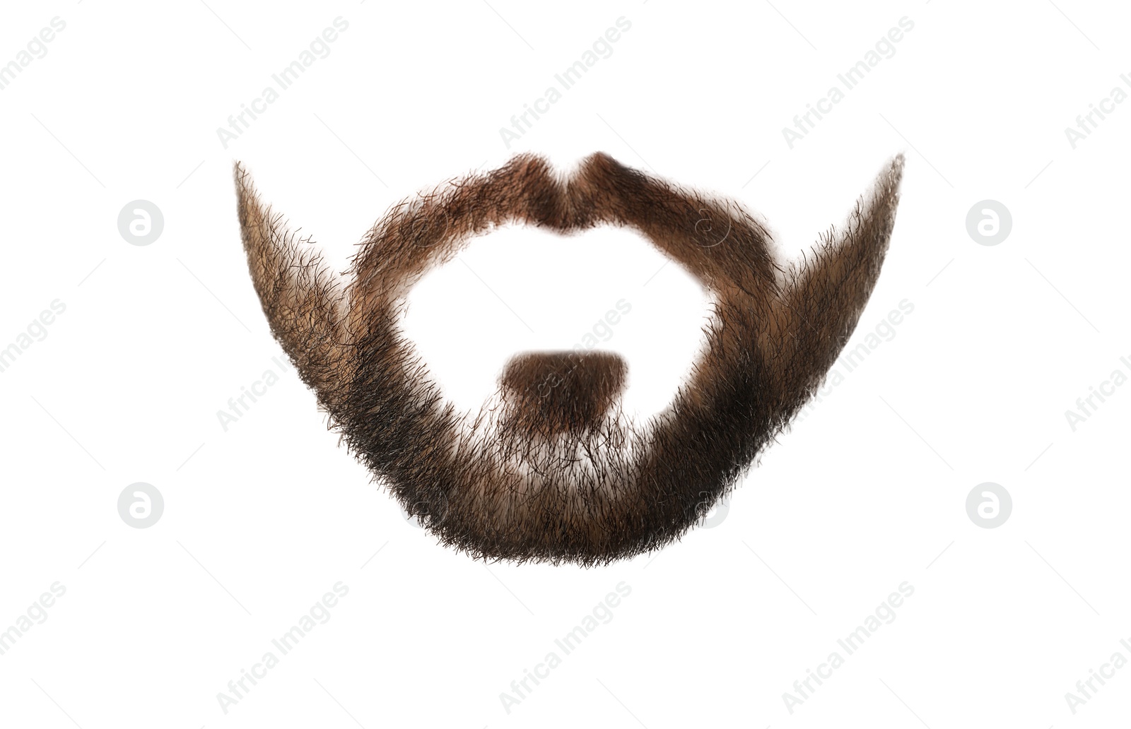 Image of Stylish brown beard isolated on white. Facial hair