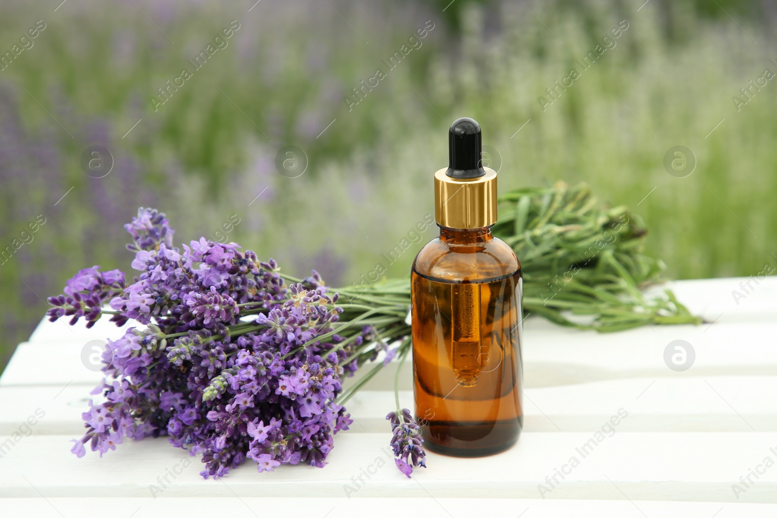 Photo of Bottle of essential oil and lavender flowers on white wooden table in field