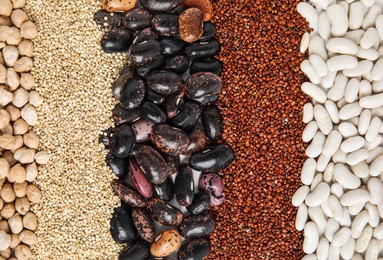 Various raw veggie seeds as background, top view