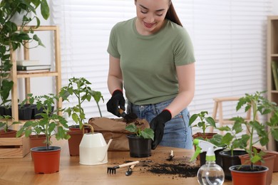 Happy woman planting seedling into pot at wooden table in room