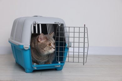 Photo of Travel with pet. Cute cat in carrier on floor near white wall indoors