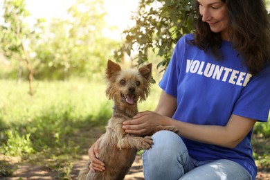 Photo of Volunteer with homeless dog in animal shelter. Space for text