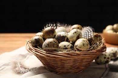 Speckled quail eggs and feathers on table, closeup