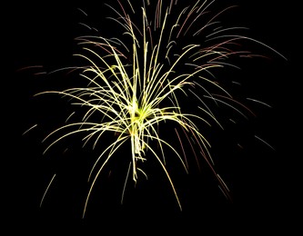 Image of Beautiful bright fireworks lighting up night sky