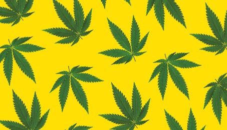 Image of Green hemp leaves on yellow background, flat lay