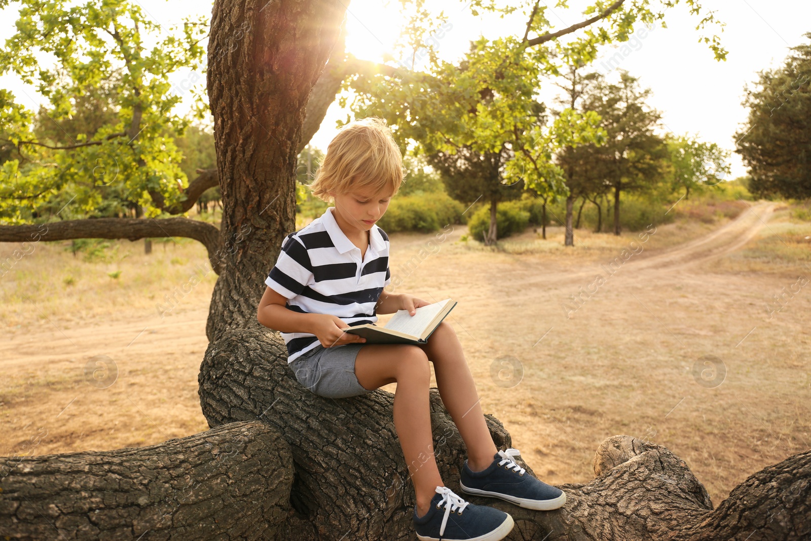 Photo of Cute little boy reading book on tree in park