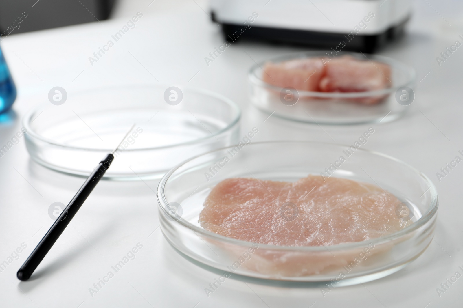 Photo of Petri dish with piece of raw cultured meat on white table in laboratory, closeup