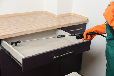 Photo of Pest control worker spraying pesticide on furniture indoors, closeup