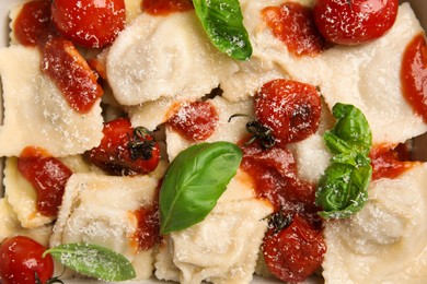 Photo of Tasty ravioli with tomato sauce and basil as background, top view