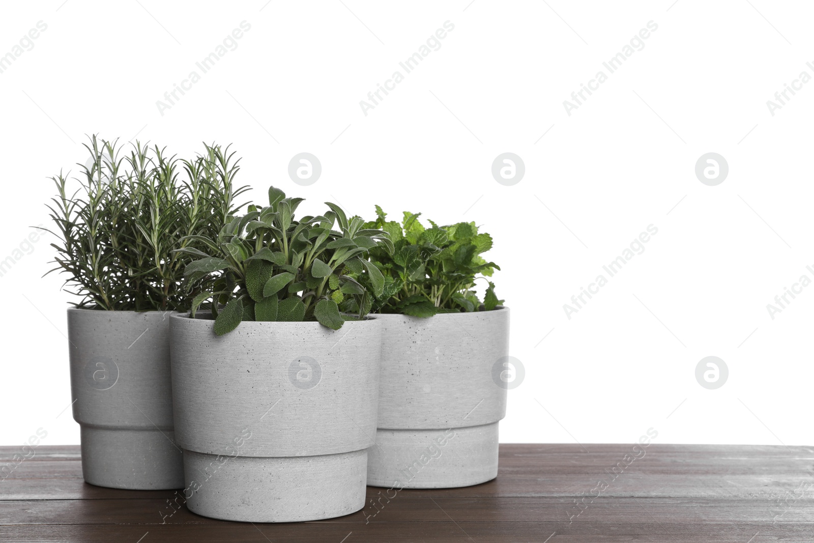 Photo of Pots with sage, mint and rosemary on wooden table against white background