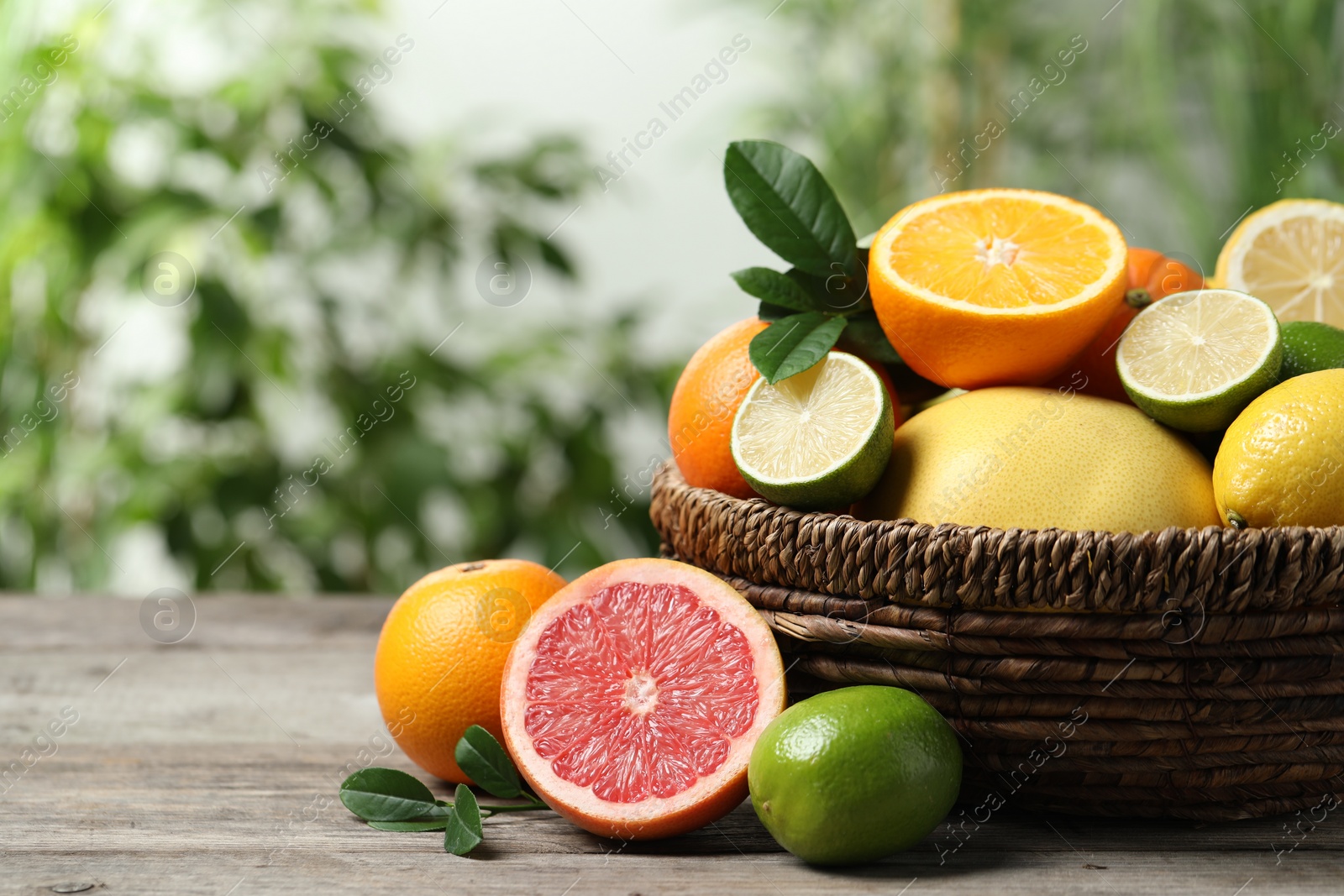 Photo of Different fresh citrus fruits and leaves in wicker basket on wooden table against blurred background, closeup. Space for text