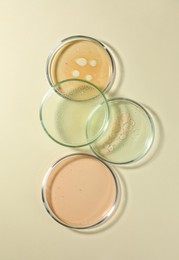 Petri dishes with color liquids on beige background, flat lay