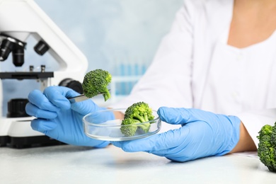 Photo of Scientist with broccoli at table in laboratory, closeup. Poison detection