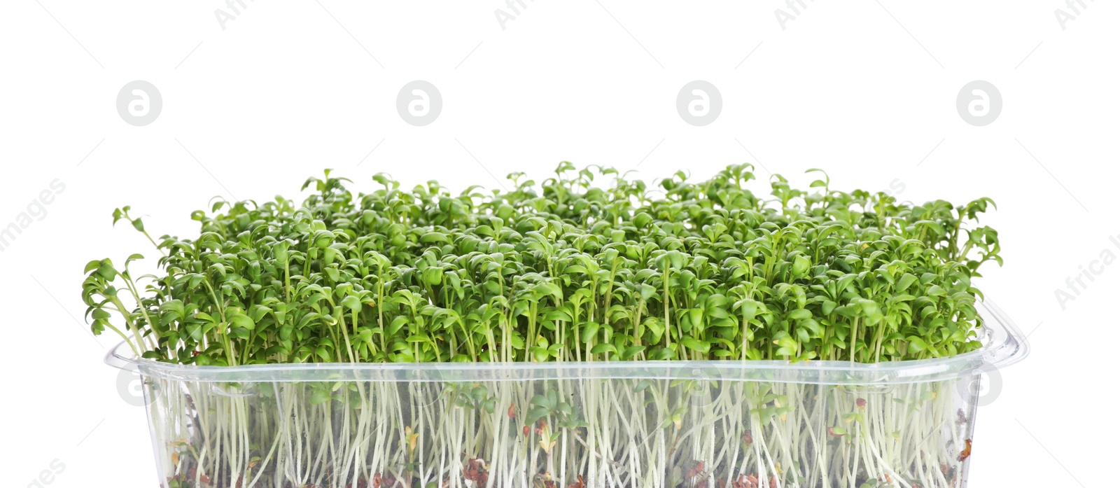 Photo of Fresh organic microgreen in plastic container on white background