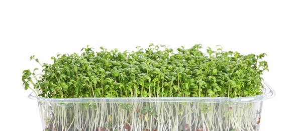 Photo of Fresh organic microgreen in plastic container on white background