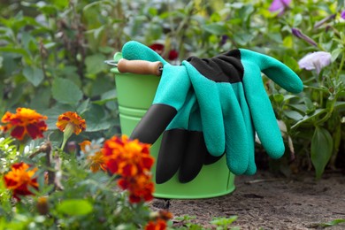 Photo of Green bucket with gardening gloves near flowers outdoors