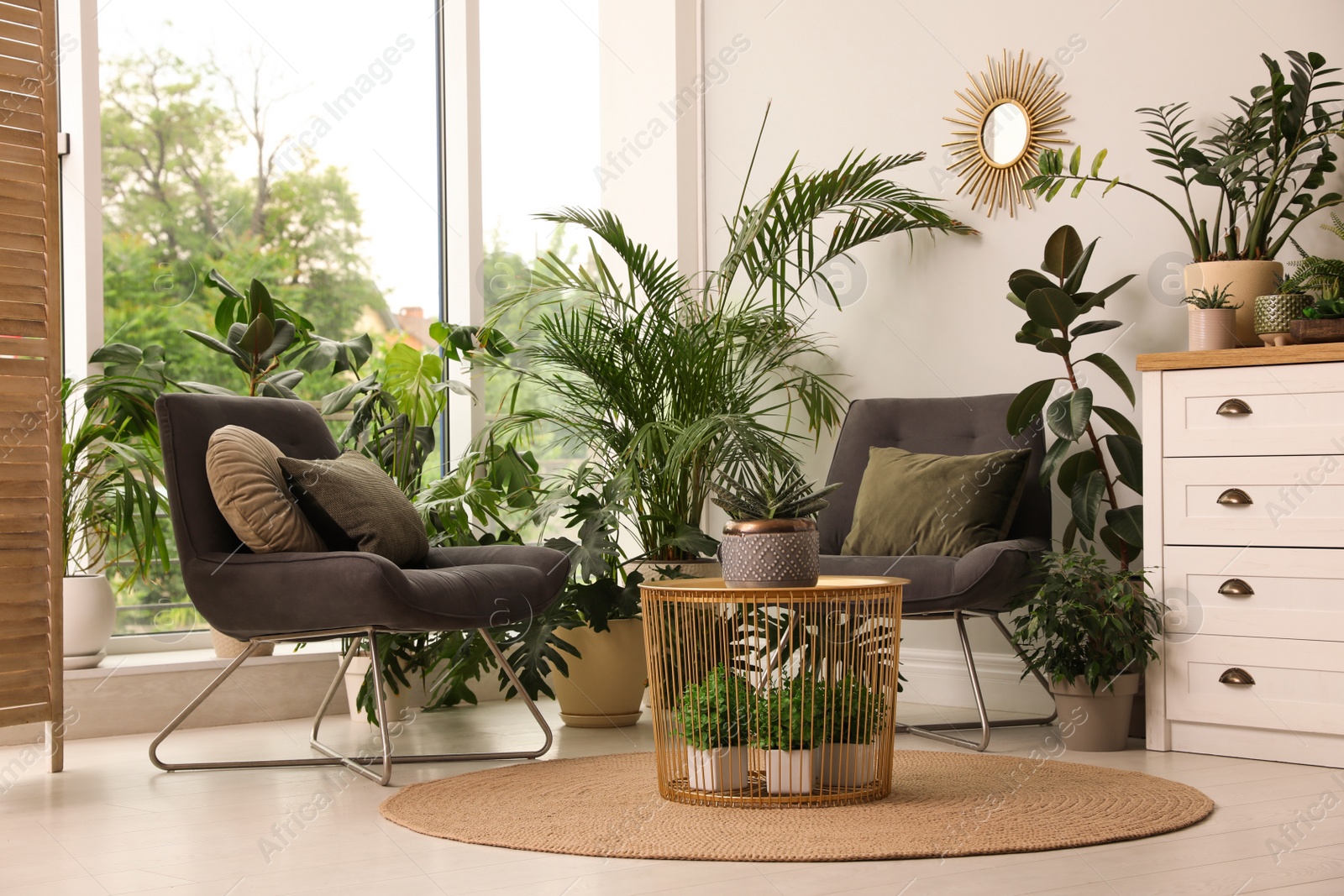 Photo of Lounge area interior with comfortable armchairs and houseplants