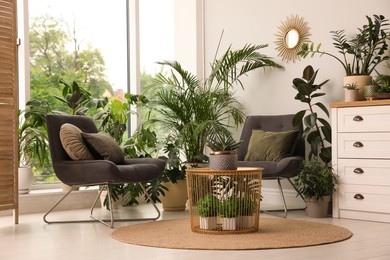 Lounge area interior with comfortable armchairs and houseplants