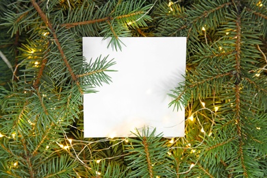 Blank paper sheet with Christmas lights on fir tree branches as background