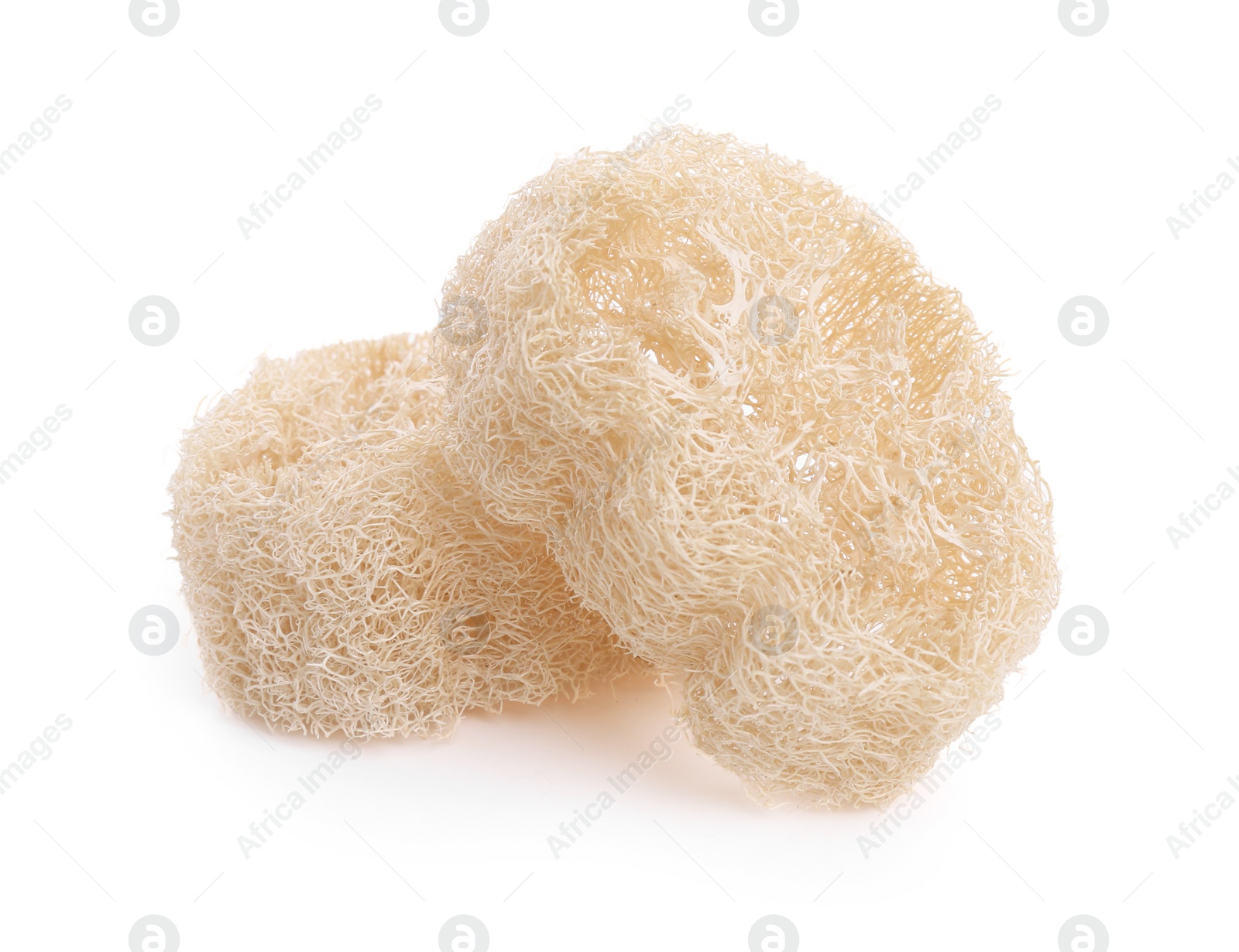 Photo of Loofah sponges isolated on white. Personal hygiene product