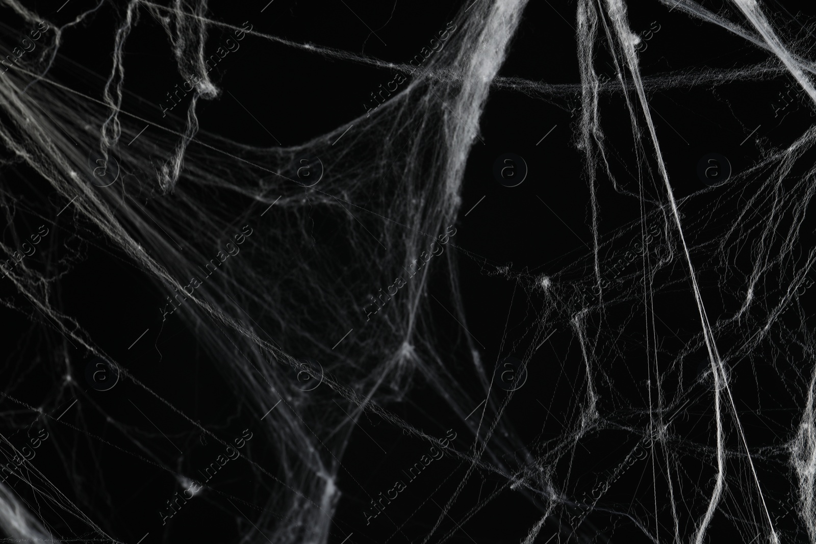 Photo of Creepy white cobweb on black background, closeup