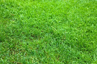 Photo of Beautiful freshly cut green lawn as background