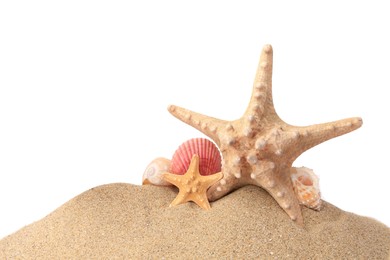 Photo of Beautiful sea stars and seashells in sand isolated on white