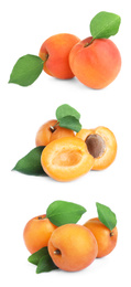 Image of Set of fresh apricots on white background