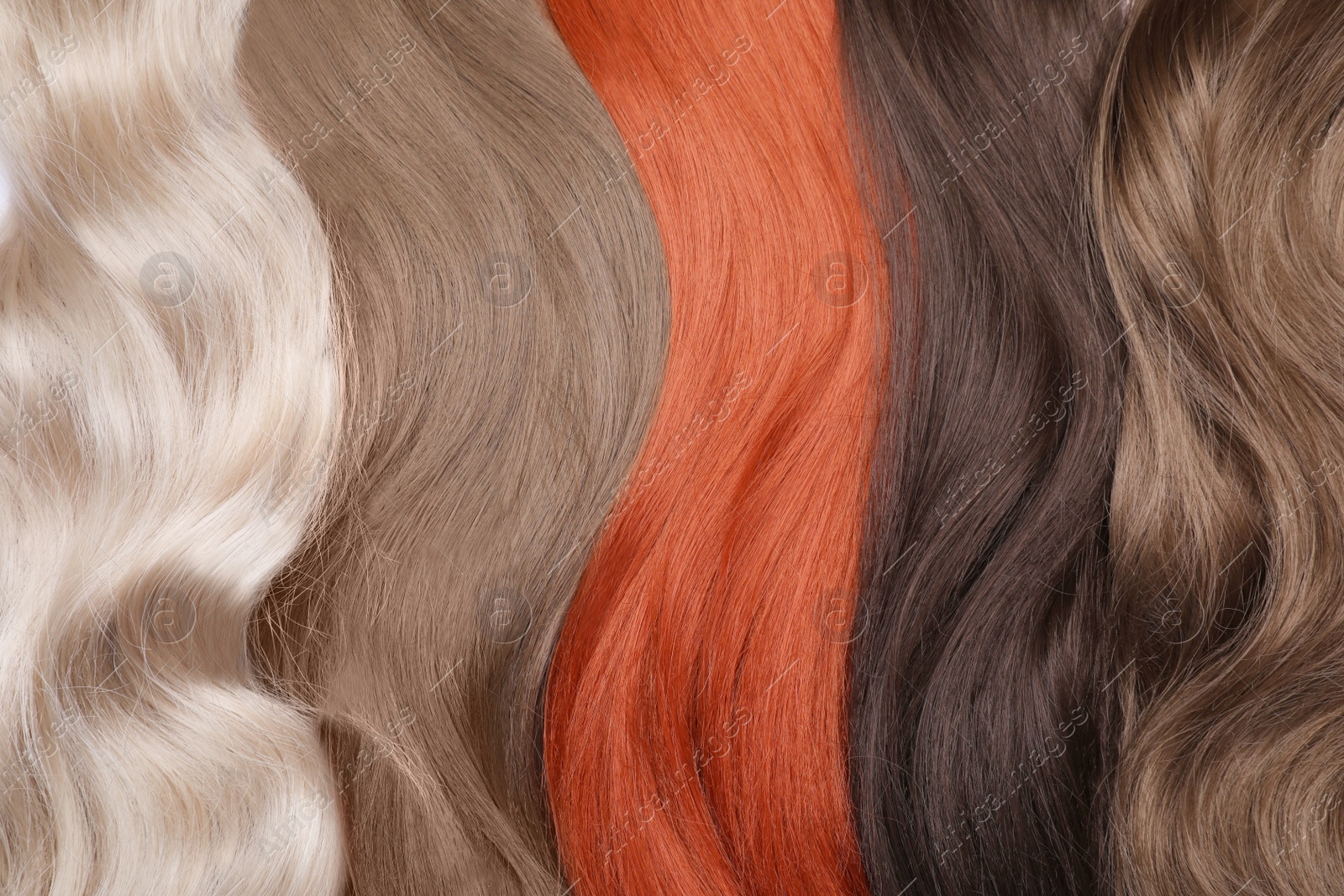 Photo of Strands of different hair as background, top view