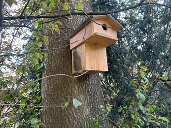 Photo of Beautiful wooden birdhouse hanging on tree trunk in park