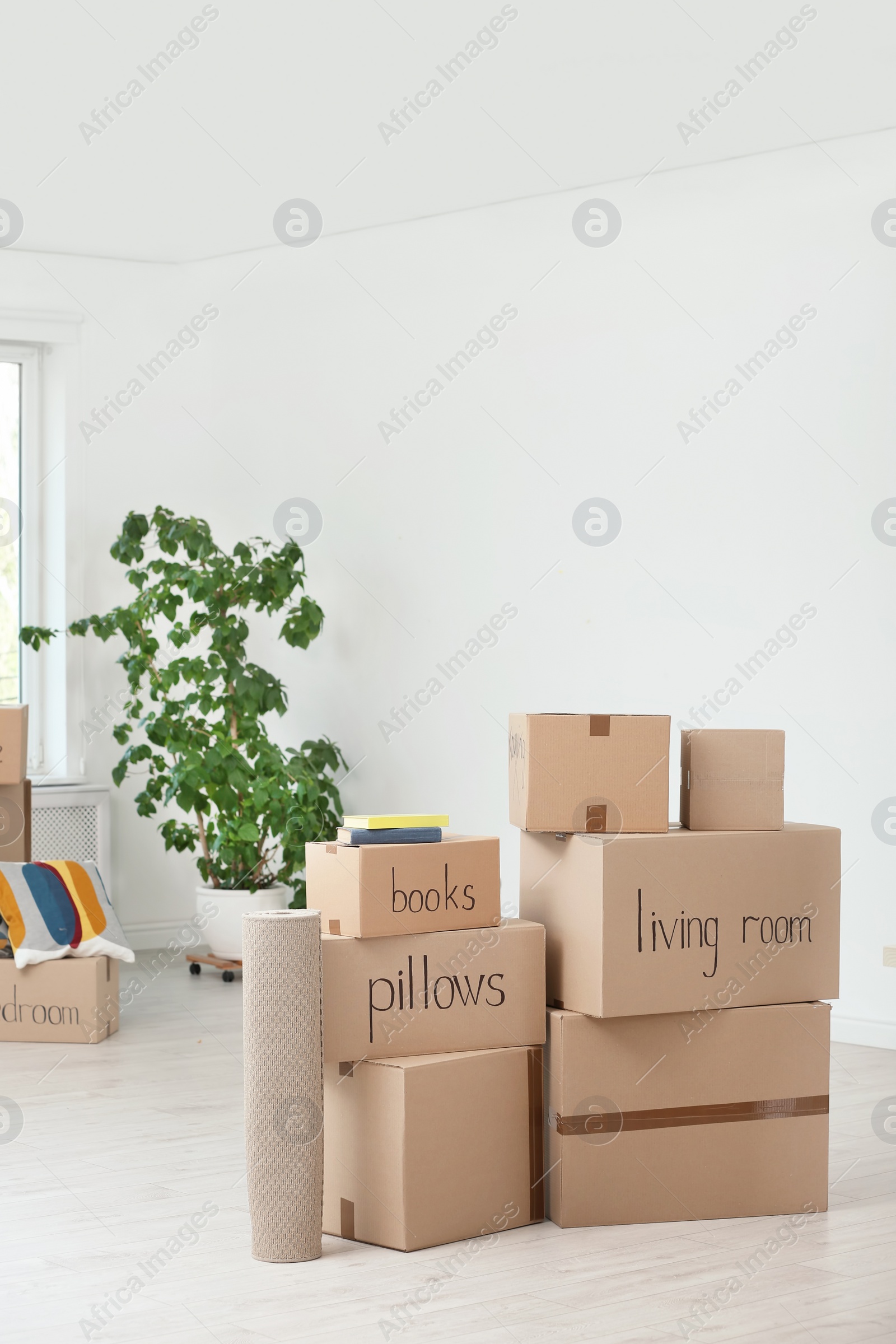 Photo of Cardboard boxes and household stuff indoors. Moving day