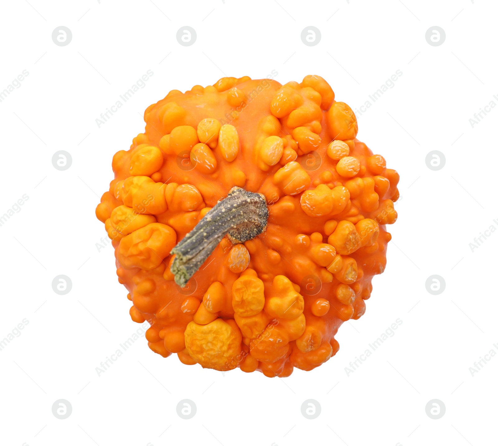 Photo of One fresh orange pumpkin isolated on white, top view